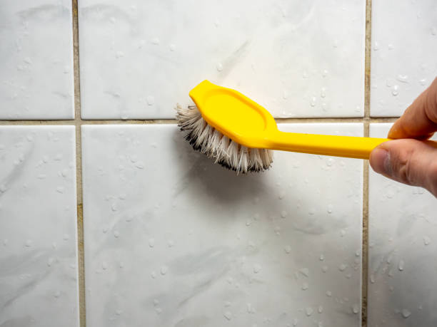 Best Emergency Mold Removal  in Johnston City, IL
