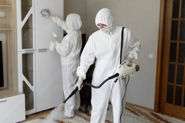 Home Mold Removal in Johnston City, IL